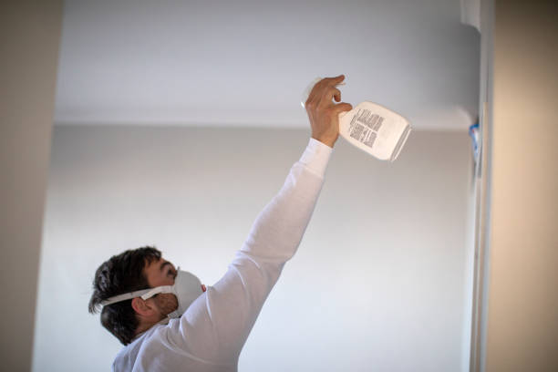 Best Toxic Mold Removal  in Evansburg, PA
