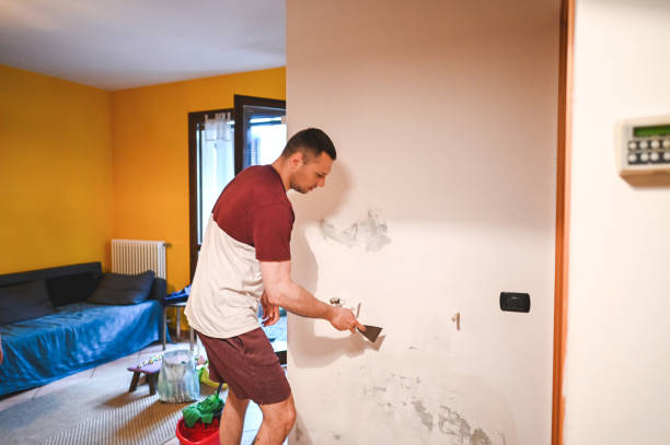 Best Same-Day Mold Removal  in Evansburg, PA